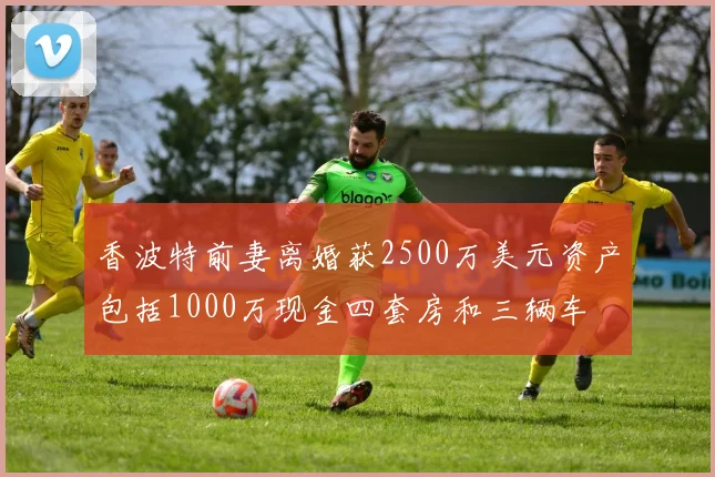 香波特前妻离婚获2500万美元资产包括1000万现金四套房和三辆车