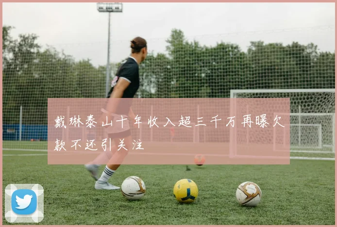 戴琳泰山十年收入超三千万再曝欠款不还引关注