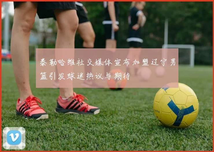 泰勒哈维社交媒体宣布加盟辽宁男篮引发球迷热议与期待