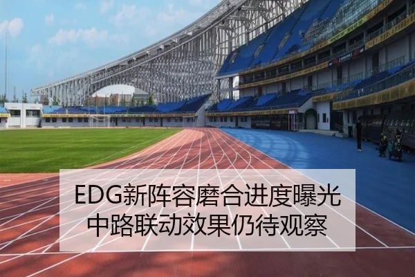 EDG新阵容磨合进度曝光 中路联动效果仍待观察 | xingkong